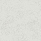 FJ31208 Alchemy Transition Wallpaper by Today Interiors