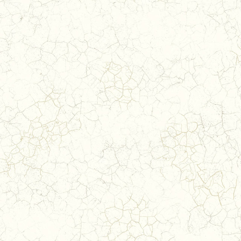 FJ31210 Alchemy Transition Wallpaper by Today Interiors