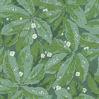 FOCL85797156 Greenery Five O'Clock Wallpaper by Casadeco