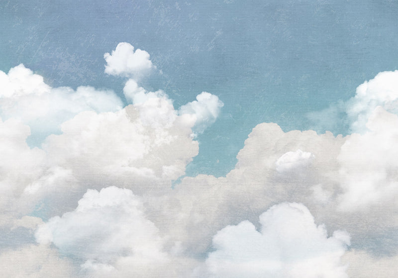 FR14011-8 Cuddle Clouds (400 x 280 cm) Passion Mural by Rebel Walls