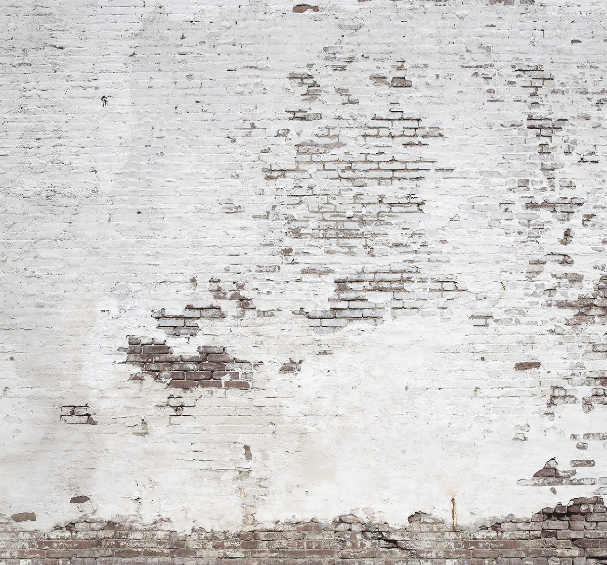 FR14321-6 Industrial Ivory (300 x 280 cm) Curious Mural by Rebel Walls