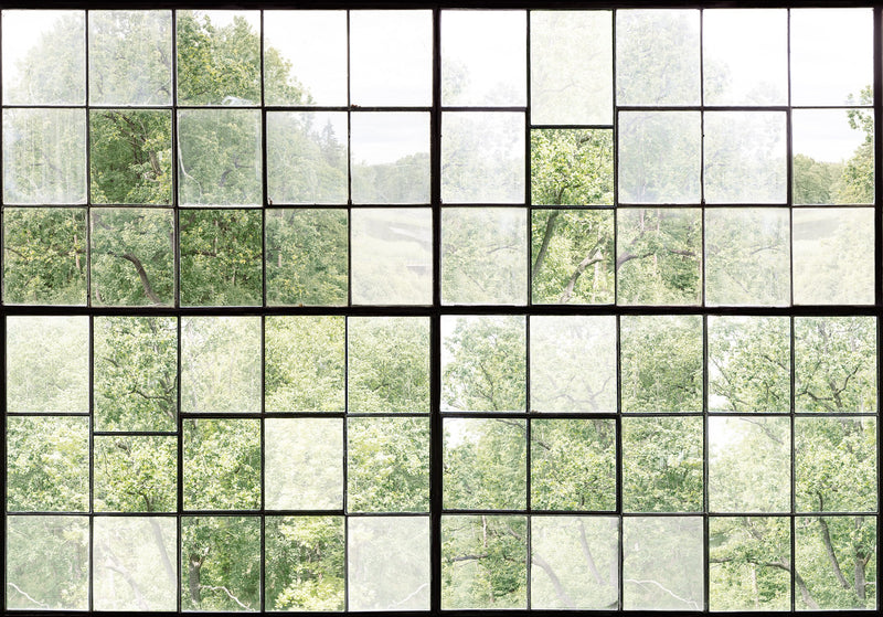 FR14381-8 Factory Window (400 x 280 cm) Curious Mural by Rebel Walls