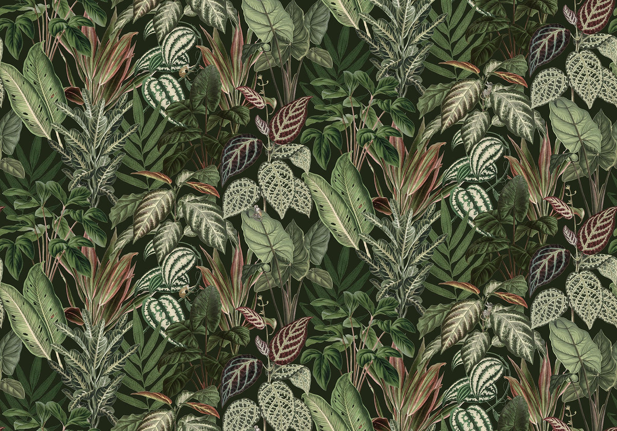 FR14592-8 Mischievous Monkeys lush (400 x 280 cm) Palette Mural by Rebel Walls