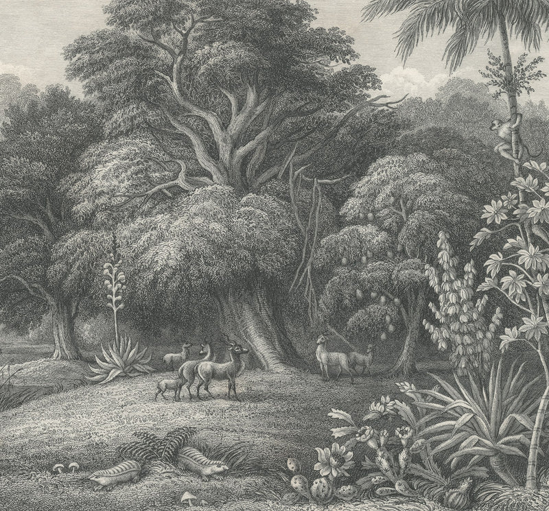 FR14611-6 Jungle Land Vintage (300 x 280 cm) Storytime Mural by Rebel Walls