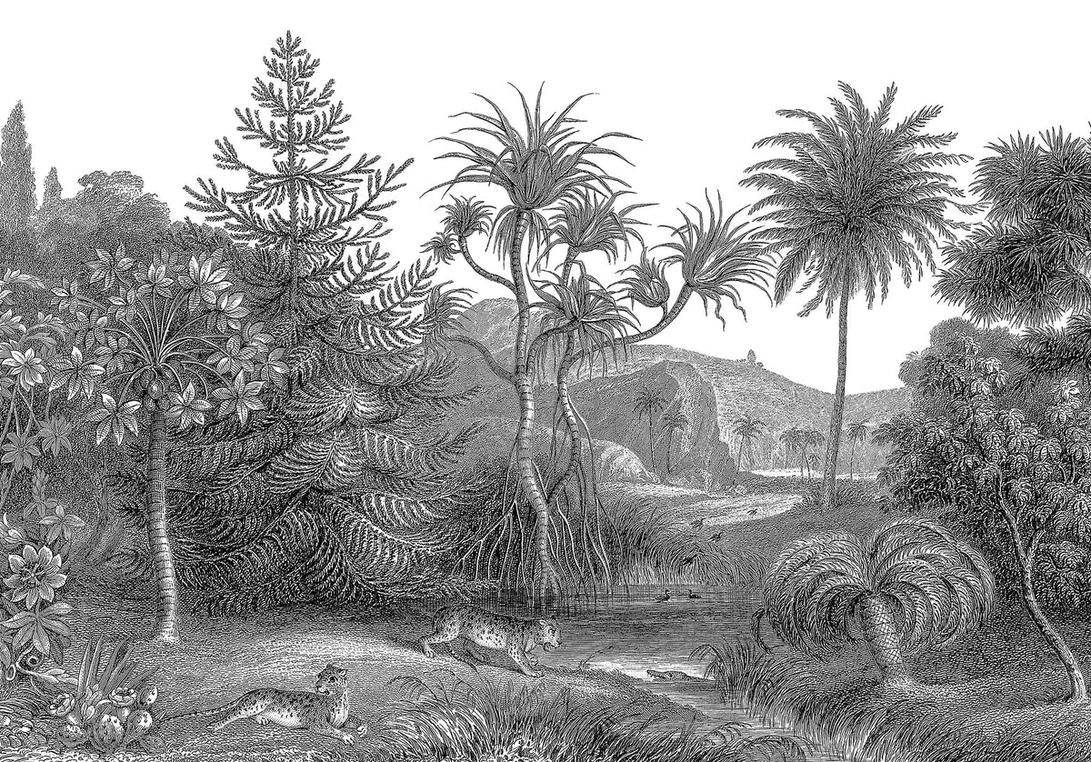 FR14612-8 Jungle Land (400 x 280 cm) Storytime Mural by Rebel Walls