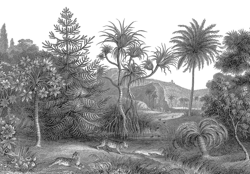 FR14612-8 Jungle Land (400 x 280 cm) Storytime Mural by Rebel Walls