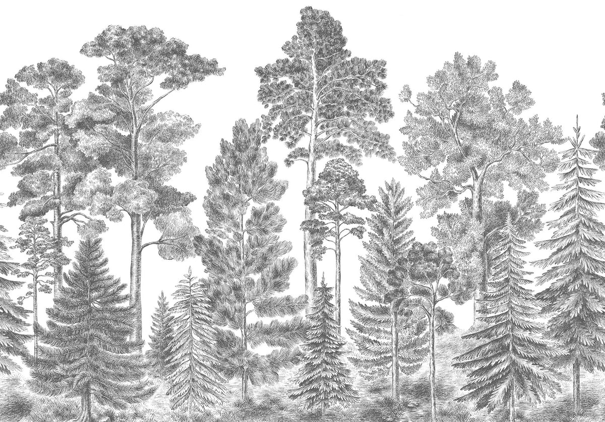 FR17201-8 Scandinavian Bellewood Gray (400 x 280 cm) Pops Mural by Rebel Walls