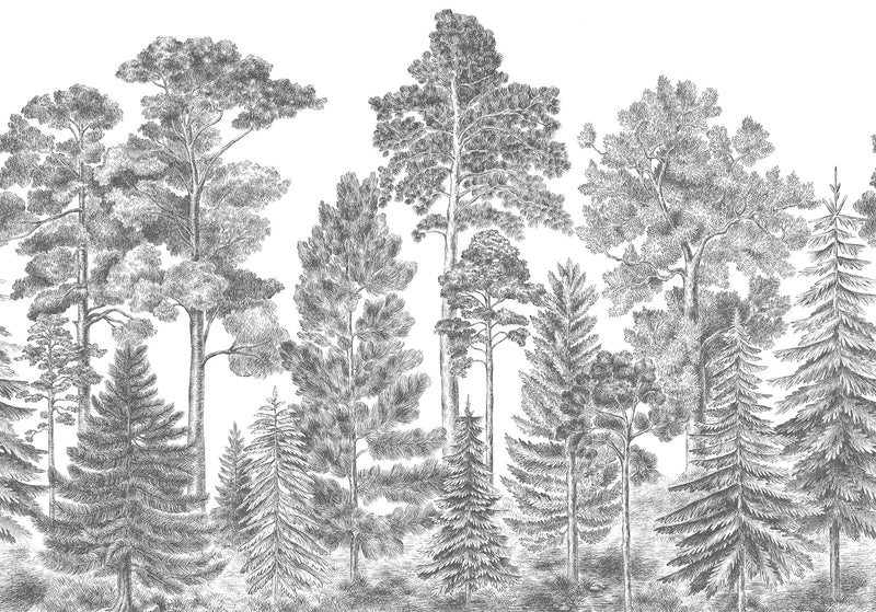 FR17201-8 Scandinavian Bellewood Gray (400 x 280 cm) Pops Mural by Rebel Walls