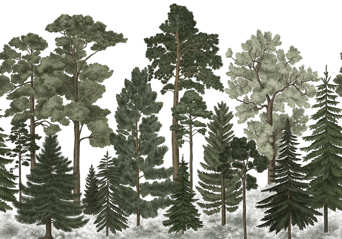 FR17204-8 Scandinavian Bellewood (400 x 280 cm) Pops Mural by Rebel Walls