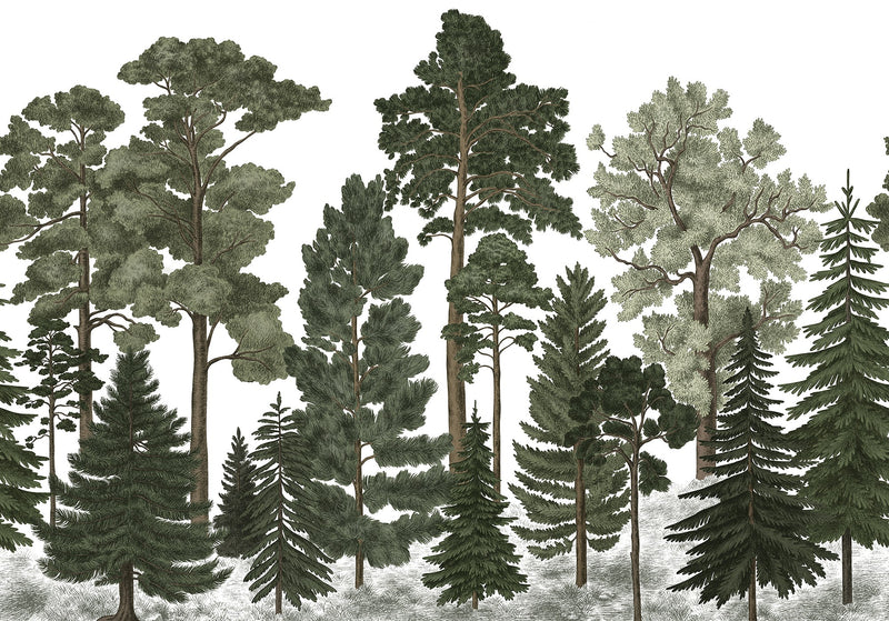 FR17204-8 Scandinavian Bellewood (400 x 280 cm) Pops Mural by Rebel Walls