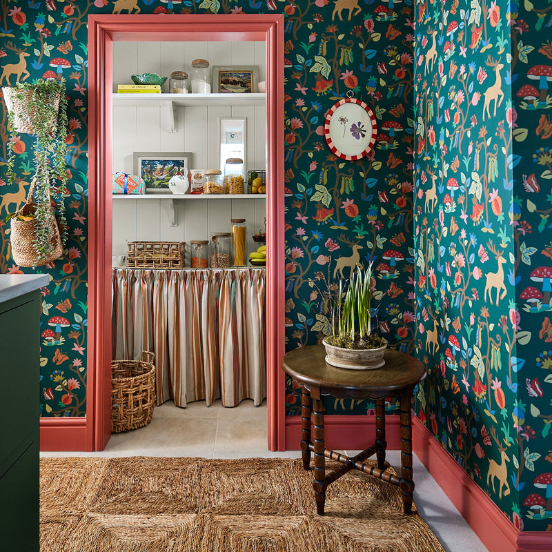 Sanderson Arboretum Forest of Dean