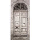 Door Global Fusion Mural By Galerie