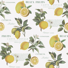 G45409 Citron Botanical Just Kitchens Yellow, Green and White Wallpaper By Galerie