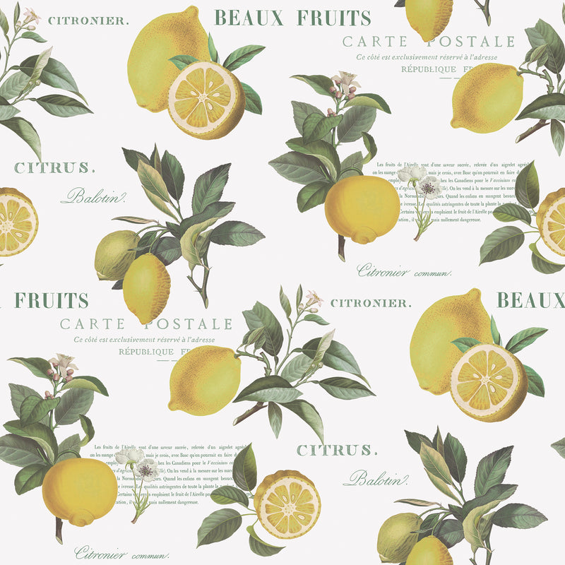G45409 Citron Botanical Just Kitchens Yellow, Green and White Wallpaper By Galerie