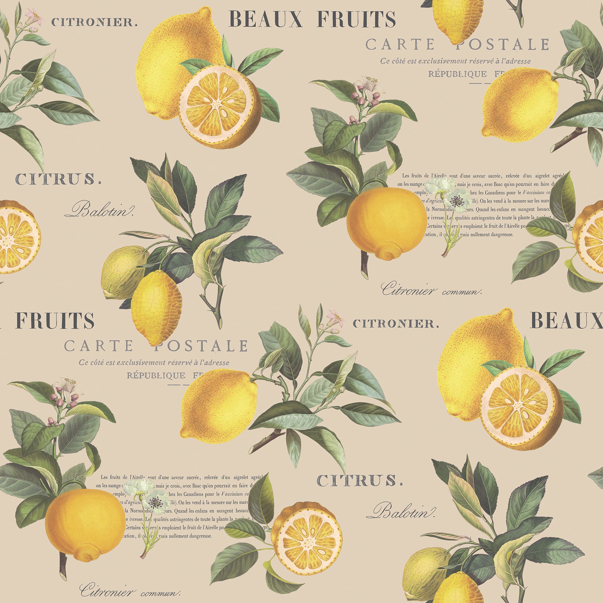 G45410 Citron Botanical Just Kitchens Taupe Wallpaper By Galerie