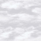 G56532 Just 4 Kids 2 Cloud Wallpaper By Galerie