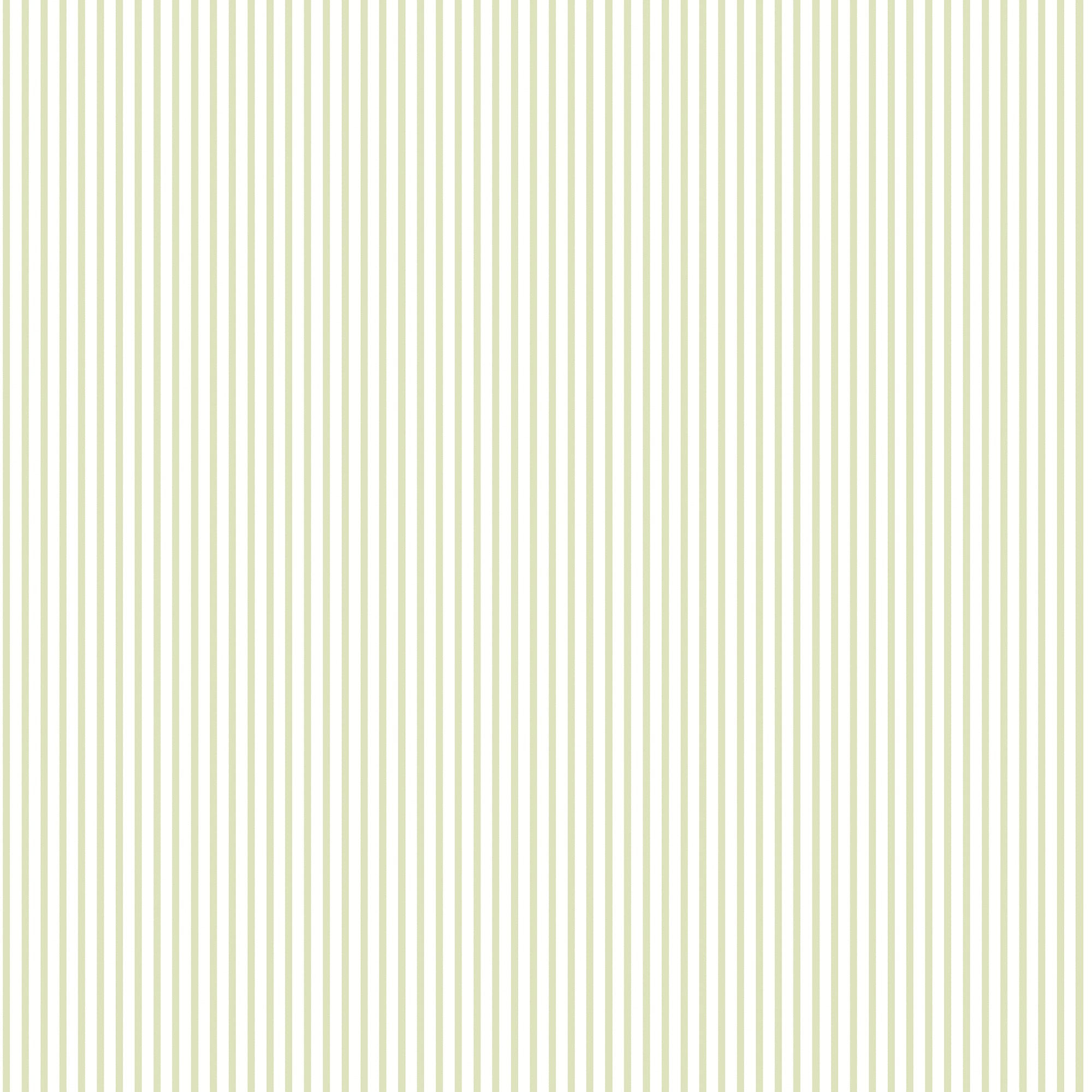 G56644 Candy Stripe Small Prints Sage Green Wallpaper By Galerie