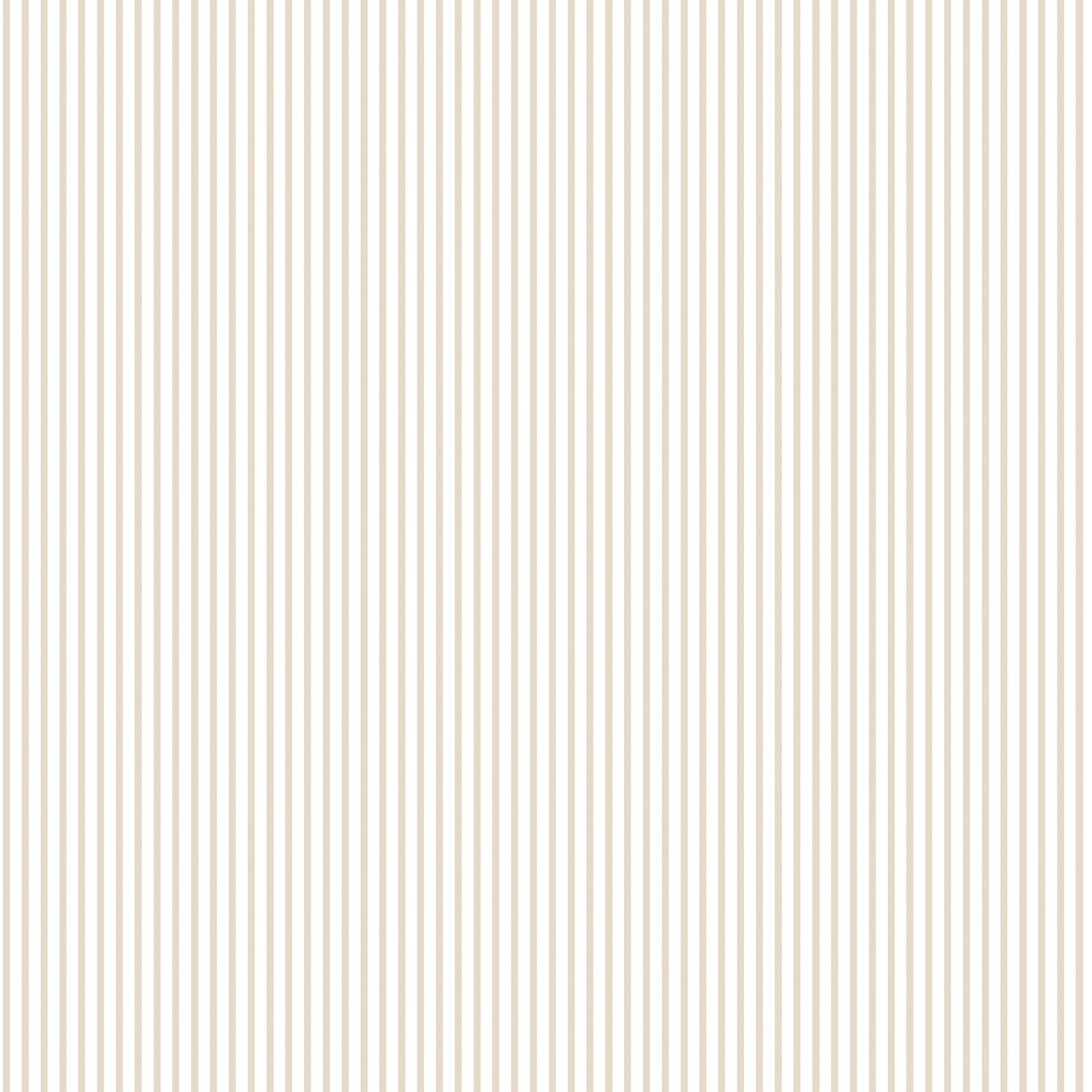G56645 Candy Stripe Small Prints Taupe Wallpaper By Galerie