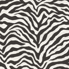 G67491 Zebra Natural FX 2 Wallpaper By Galerie