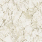 G67753 Marble Natural FX 2 Wallpaper By Galerie