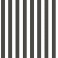 Regency Stripe Kids And Teens Wallpaper by Galerie