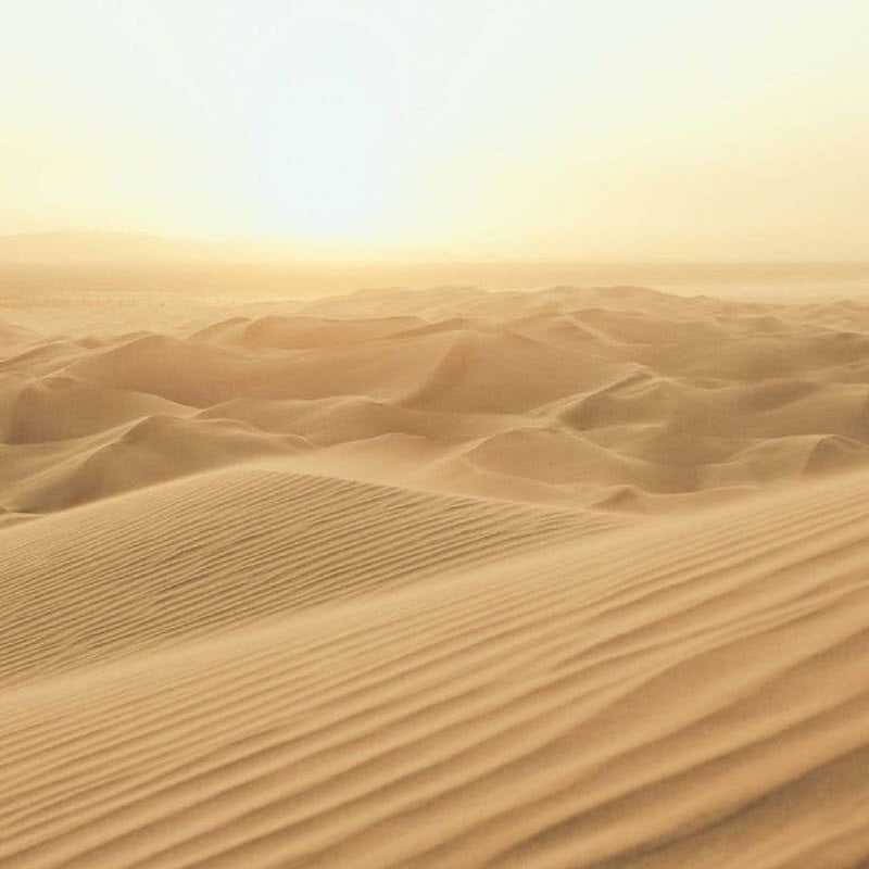 G78423 Sand Dune Mural Atmosphere Wallpaper by Galerie