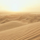 Sand Dune Mural Atmosphere Wallpaper by Galerie