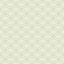 G78523 Trellis Negative Secret Garden Wallpaper by Galerie