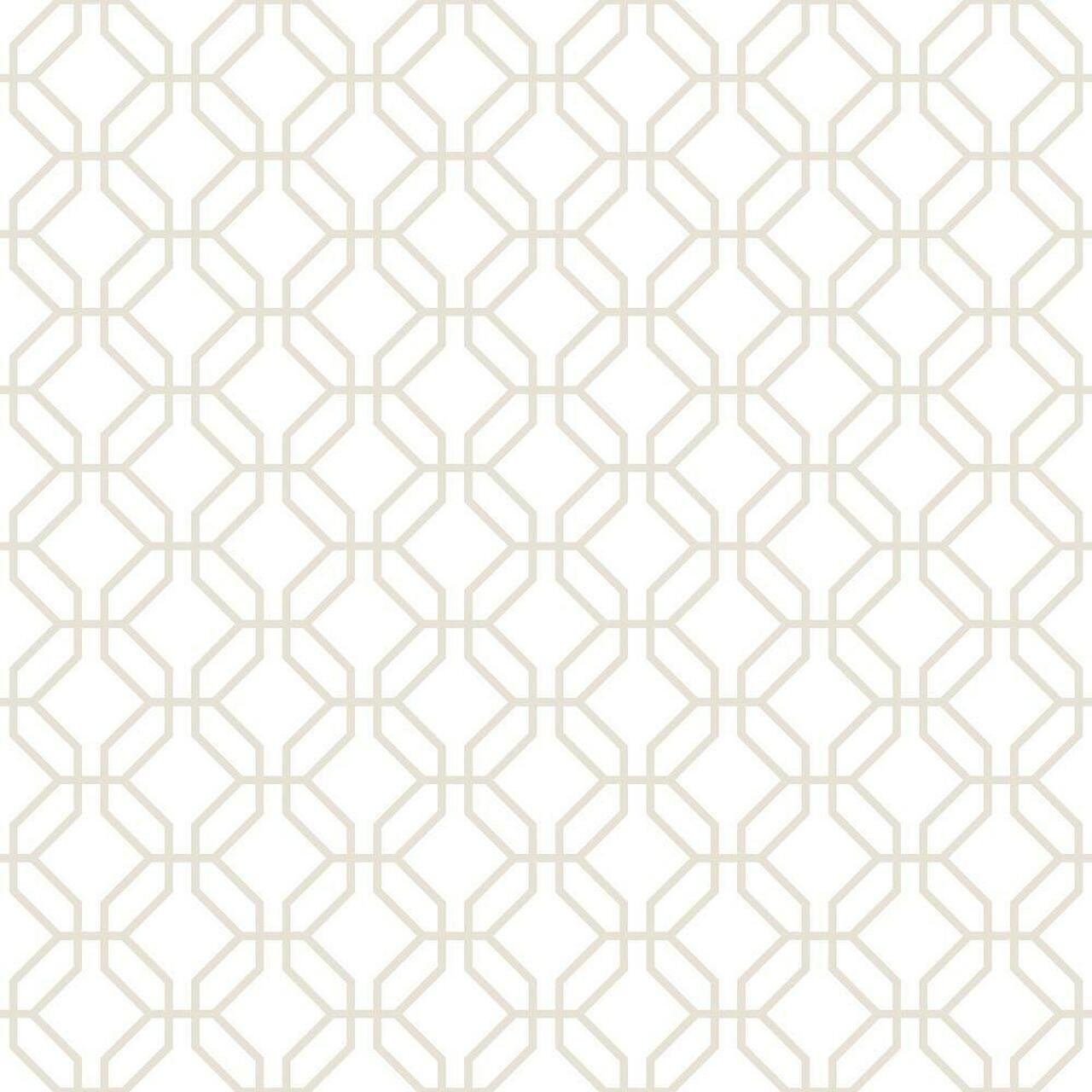G78529 Trellis Negative Secret Garden Wallpaper by Galerie