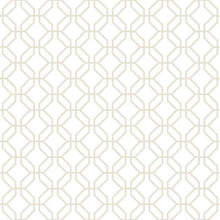 G78529 Trellis Negative Secret Garden Wallpaper by Galerie