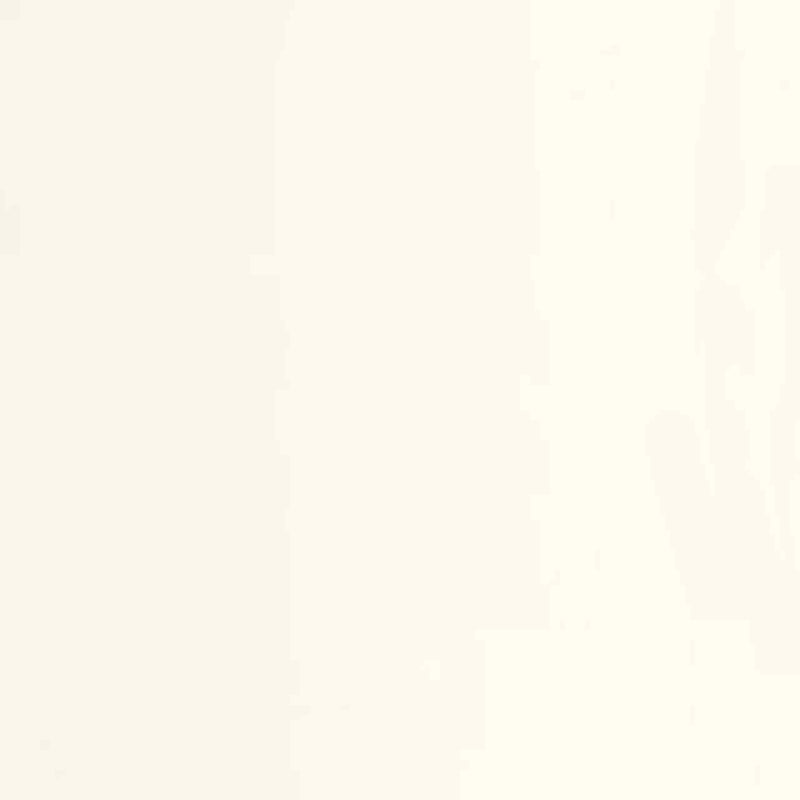 GAFR200330000 Pigments Galons & Frises Wallpaper by Casadeco