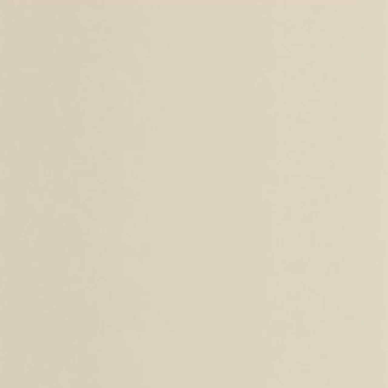 GAFR200331212 Pigments Galons & Frises Wallpaper by Casadeco