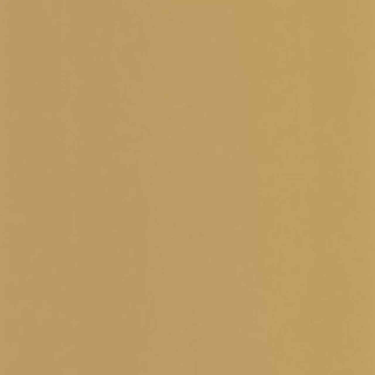 GAFR200332424 Pigments Galons & Frises Wallpaper by Casadeco