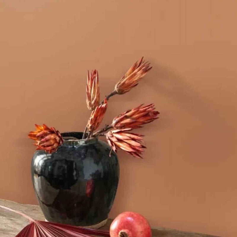 GAFR200333320 Pigments Galons & Frises Wallpaper by Casadeco