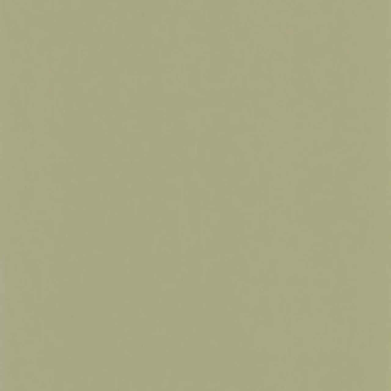 GAFR200337337 Pigments Galons & Frises Wallpaper by Casadeco