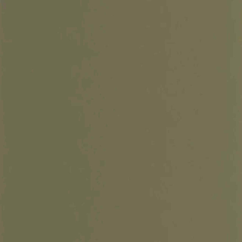 GAFR200337606 Pigments Galons & Frises Wallpaper by Casadeco