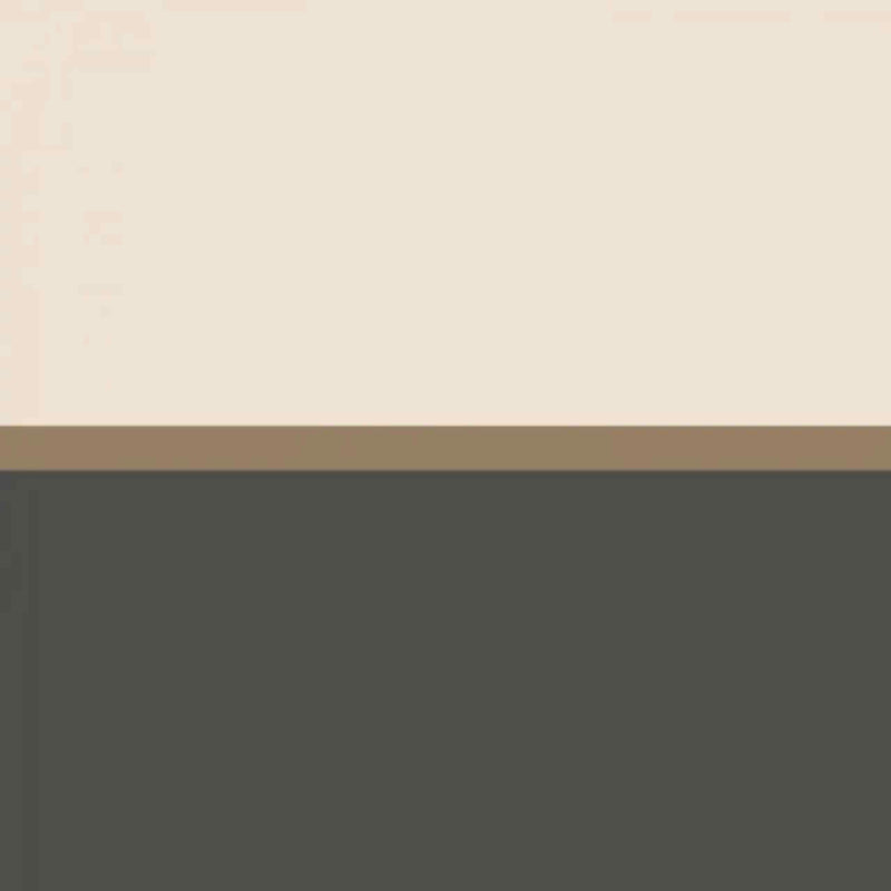 GAFR200369743 La Raffinee Galons & Frises Border Wallpaper by Casadeco