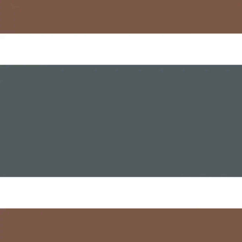 GAFR200386890 L'Elegante Galons & Frises Border Wallpaper by Casadeco