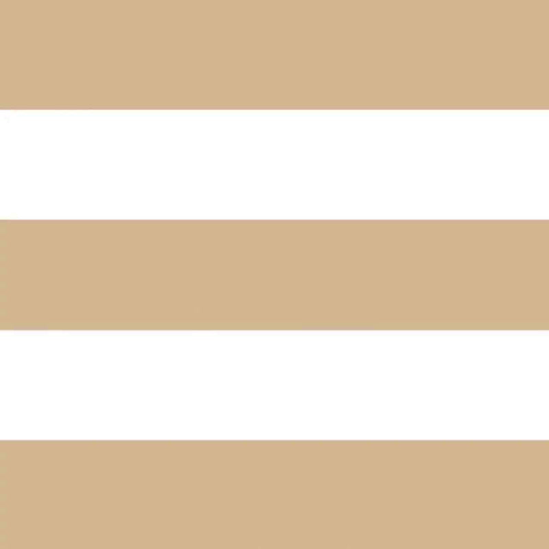 GAFR200412748 La Delicate Galons & Frises Border Wallpaper by Casadeco