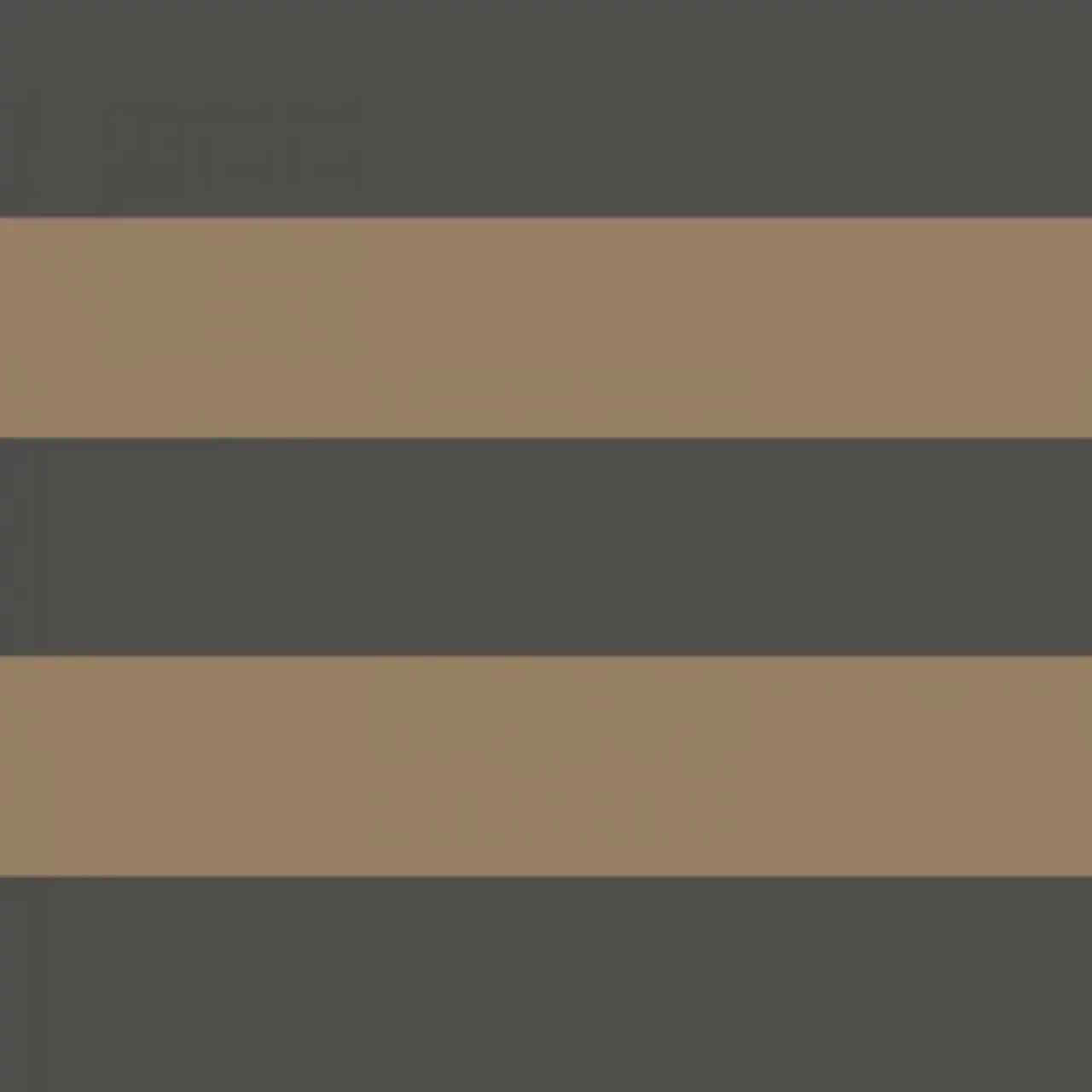 GAFR200419710 La Delicate Galons & Frises Border Wallpaper by Casadeco