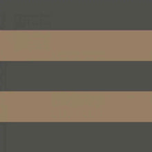 GAFR200419710 La Delicate Galons & Frises Border Wallpaper by Casadeco