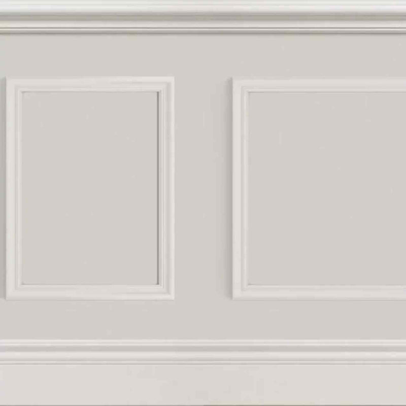 GAFR200451567 Le Petit Salon Galons & Frises Wallpanel by Casadeco