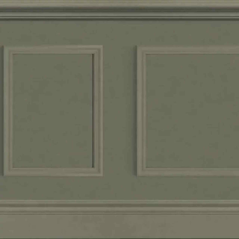 GAFR200457758 Le Petit Salon Galons & Frises Wallpanel by Casadeco