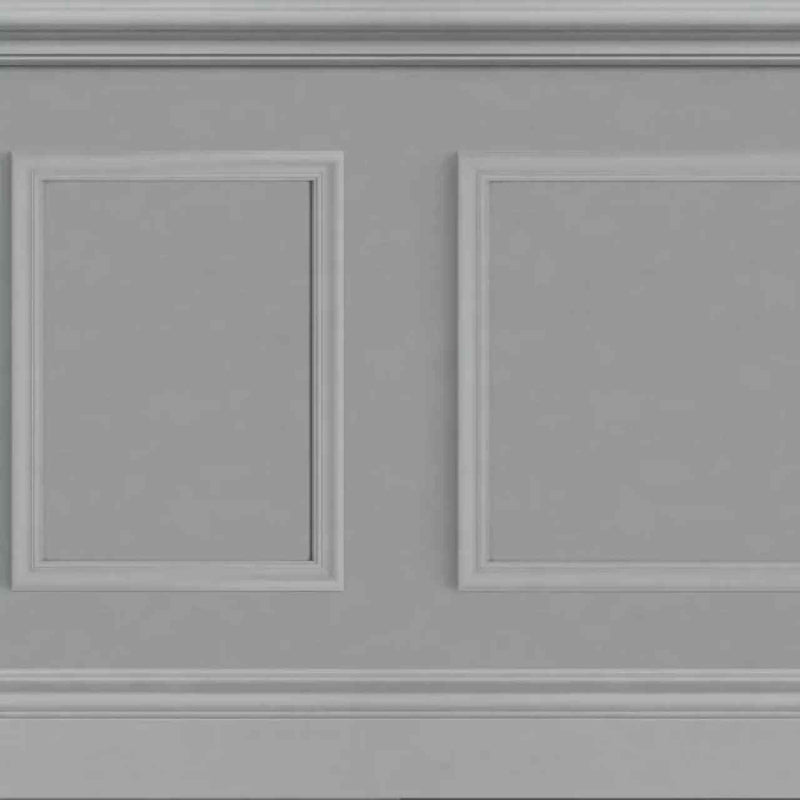 GAFR200459274 Le Petit Salon Galons & Frises Wallpanel by Casadeco