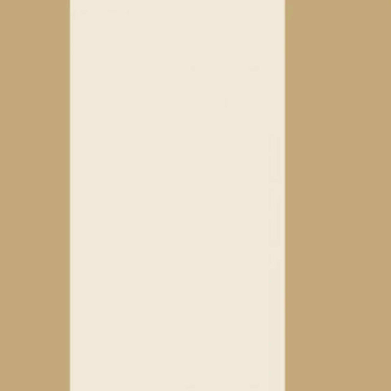 GAFR200472234 La Retro Galons & Frises Border Wallpaper by Casadeco