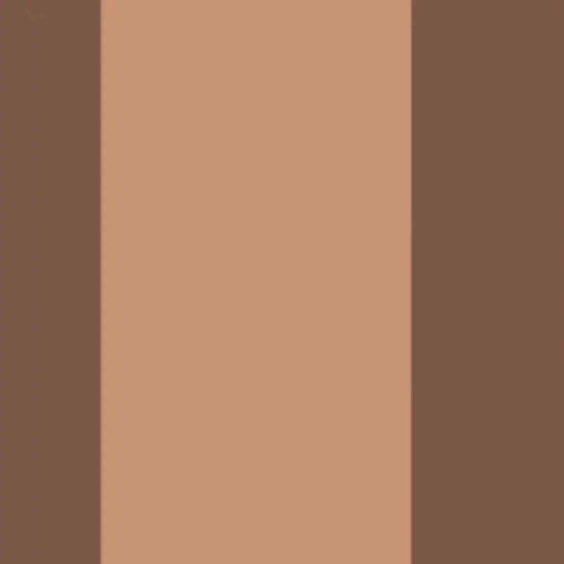 GAFR200472800 La Retro Galons & Frises Border Wallpaper by Casadeco