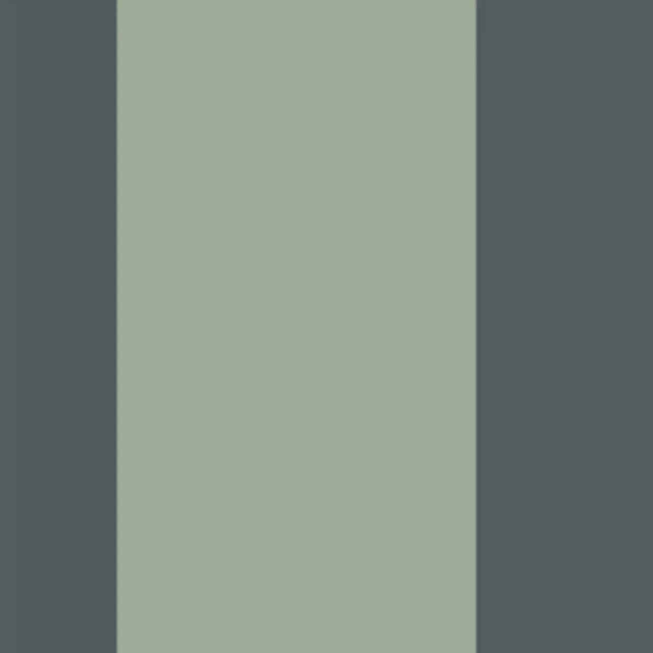 GAFR200476771 La Retro Galons & Frises Border Wallpaper by Casadeco