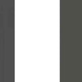 La Retro Galons & Frises Border Blanc / Noir Fusain Wallpaper by Casadeco