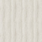 GE02440 Veyrier Silver Birch Wallpaper by Sketch Twenty 3