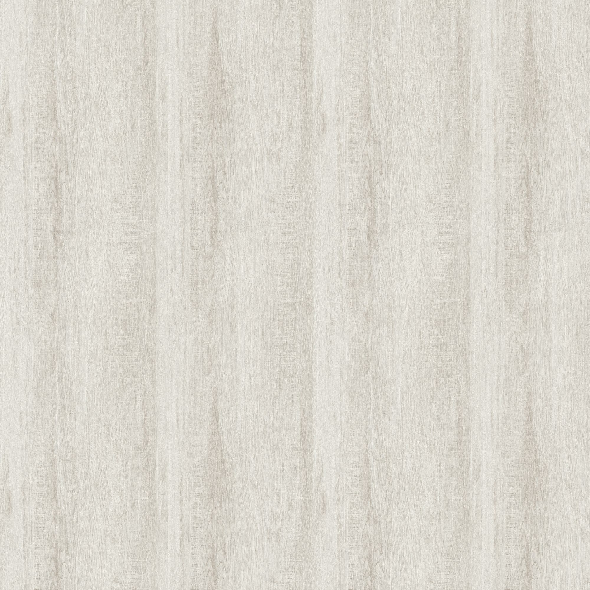 GE02440 Veyrier Silver Birch Wallpaper by Sketch Twenty 3